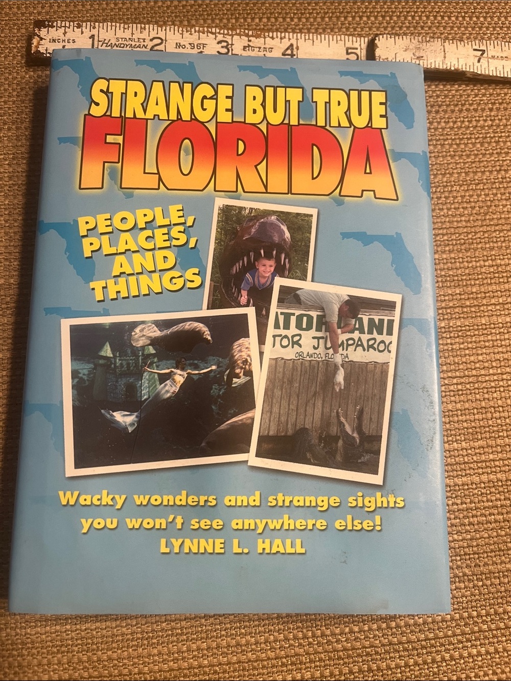Strange But True Florida Hardcover Book - Blue Cover by Lynne L. Hall